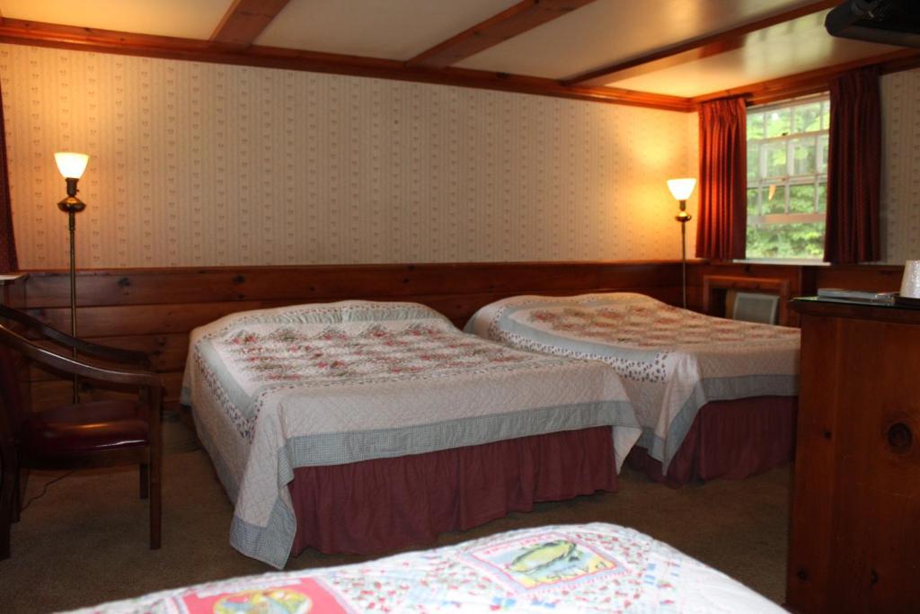 White Trellis Motel North Conway Cameră foto